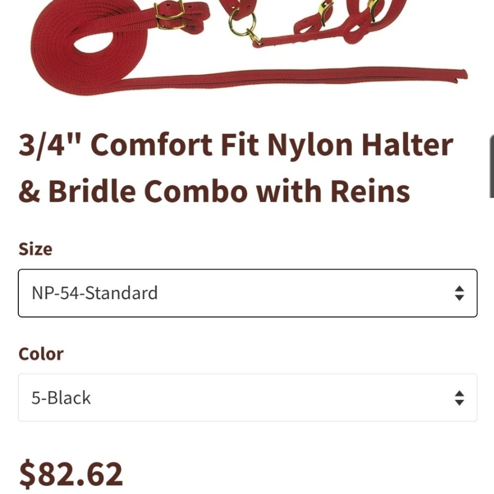 BLACK Nylon Halter/Bridle Combo + Reins + bit hangers NWT - Picture 2 of 6